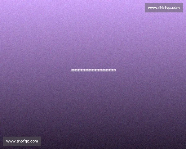 申花锋霸米内罗身价翻倍却陷入转会困局：伤病与禁令成双重枷锁