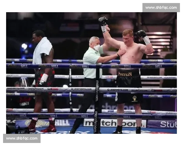 力量与速度的巅峰对决大卫海耶对阵波维特金全面解析战术风格与胜负关键