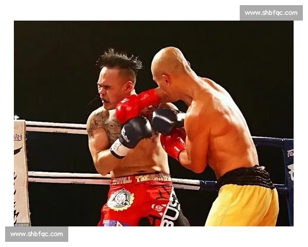 武林风巅峰对决一龙迎战海耶斯世界擂台谁能书写新的传奇