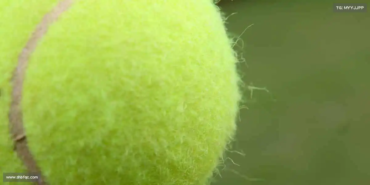 竞技宝🏀热血赛场,每一次跳跃都是对梦想的致敬!